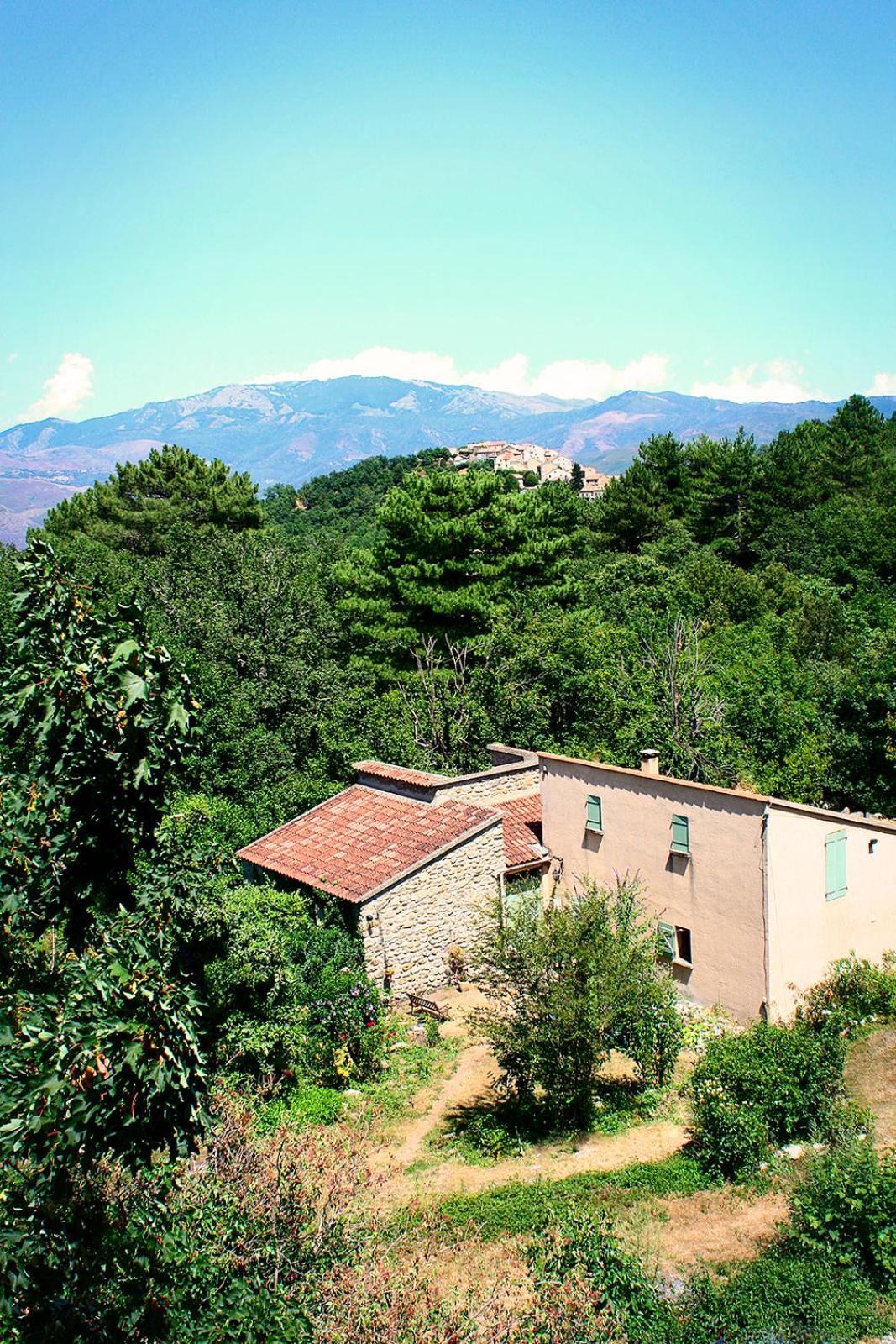 Hotel - Pub Le Petit Bosquet Santo-Pietro-di-Venaco Buitenkant foto